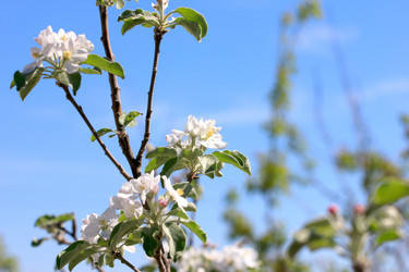 Similar image 2821159