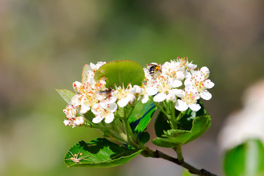 Similar image 2821160