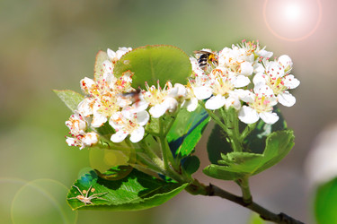 Similar image 2821161