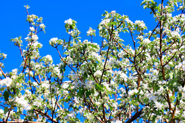 Similar image 2821162