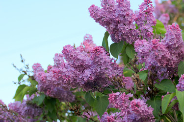 Similar image 2821165