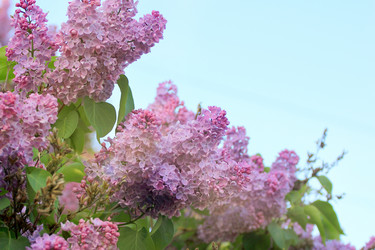 Similar image 2821166