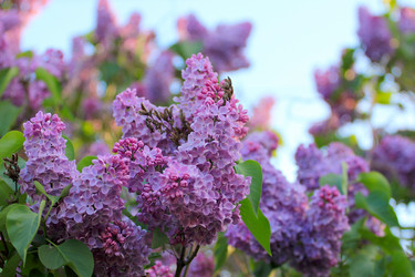 Similar image 2821168