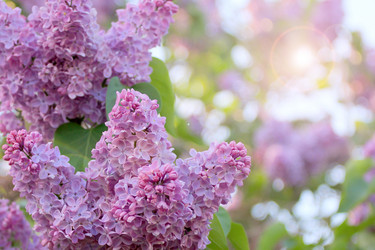 Similar image 2821169