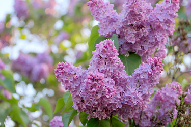 Similar image 2821170