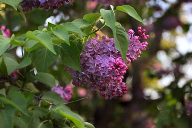 Similar image 2821171