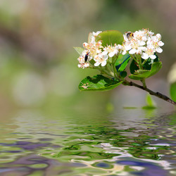 Similar image 2821172