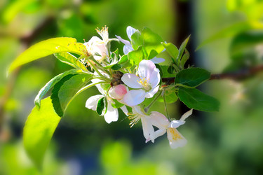 Similar image 2821175