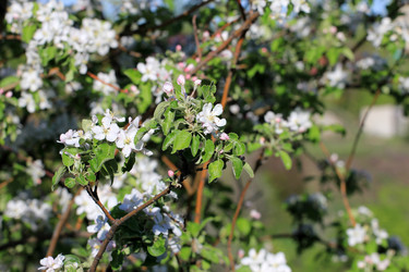 Similar image 2821176