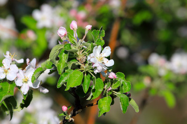 Similar image 2821177