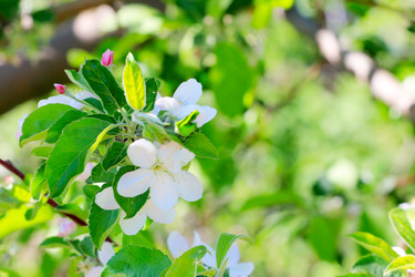 Similar image 2821180