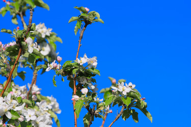 Similar image 2821181