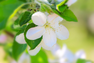 Similar image 2821182