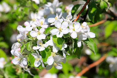 Similar image 2821183