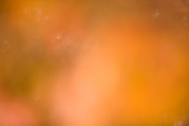 Similar image 2821202