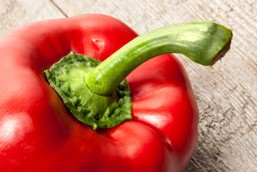 Similar image 2821271