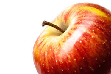 Similar image 2821276