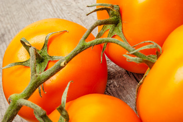 Similar image 2821280