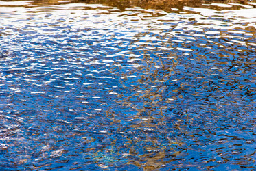 Similar image 2821306