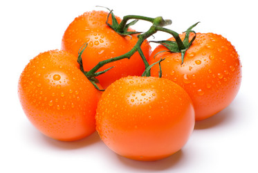 Similar image 2821317