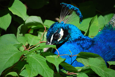 Similar image 2821334