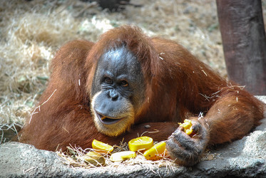 Similar image 2821335