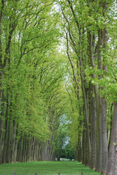 Similar image 2821347