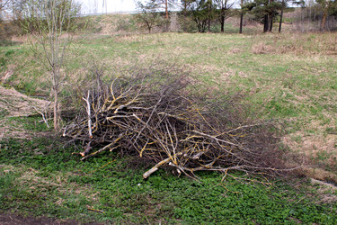 Similar image 2821792