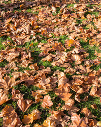 Similar image 2821937