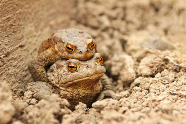 Similar image 2822011