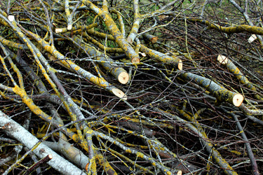 Similar image 2822012