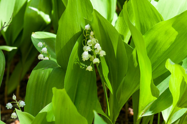 Similar image 2822050