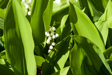 Similar image 2822051