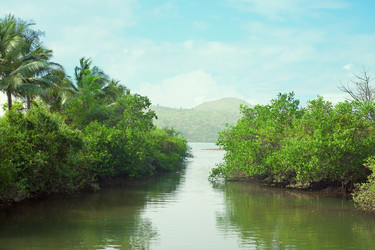 Similar image 2822101