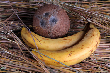 Similar image 2823120