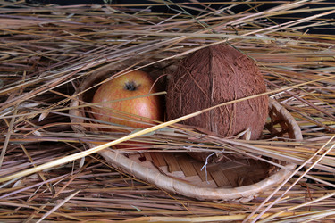 Similar image 2823121