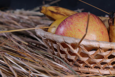 Similar image 2823122