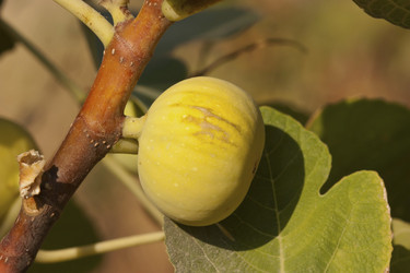 Similar image 2823128