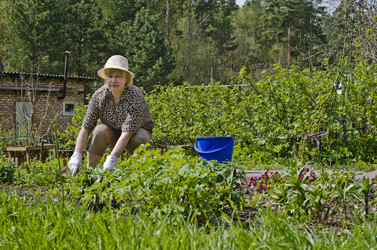 Similar image 2823140