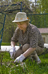 Similar image 2823142