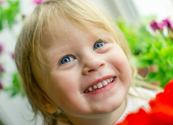 Similar image 2823206