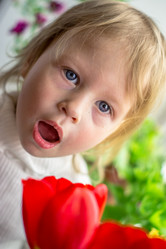 Similar image 2823212