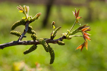 Similar image 2823240