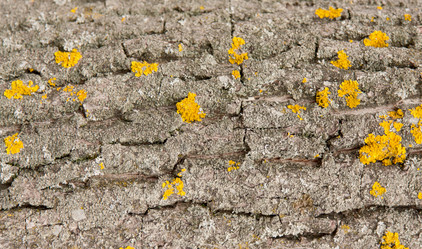 Similar image 2823244