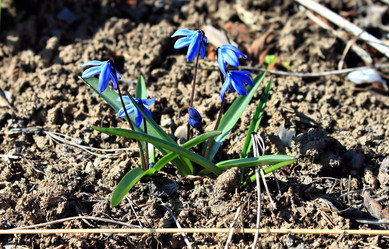 Similar image 2823264