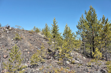 Similar image 2823266