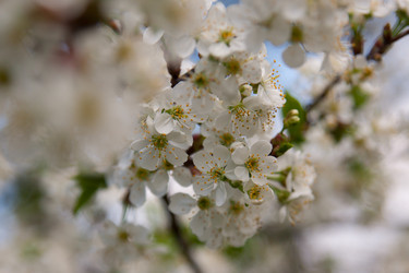 Similar image 2823267