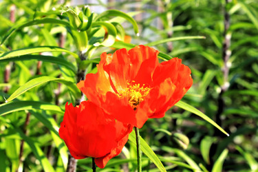 Similar image 2823272