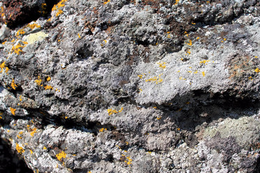 Similar image 2823273