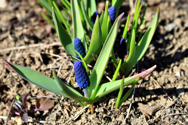 Similar image 2823278